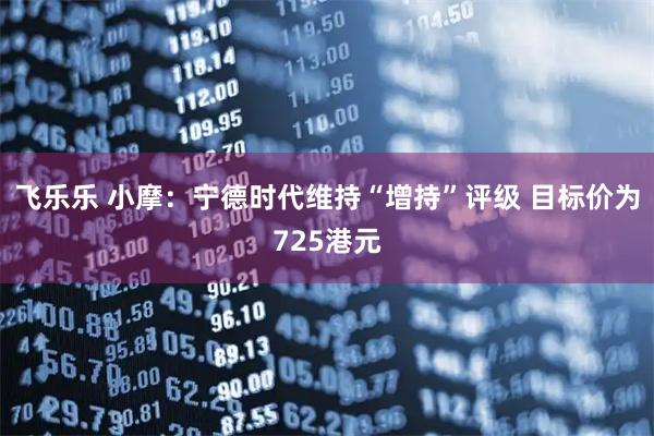 飞乐乐 小摩：宁德时代维持“增持”评级 目标价为725港元